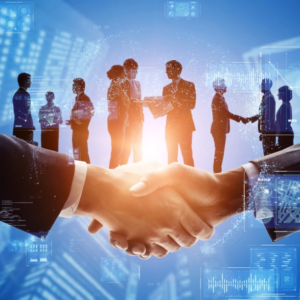 Our Partnerships